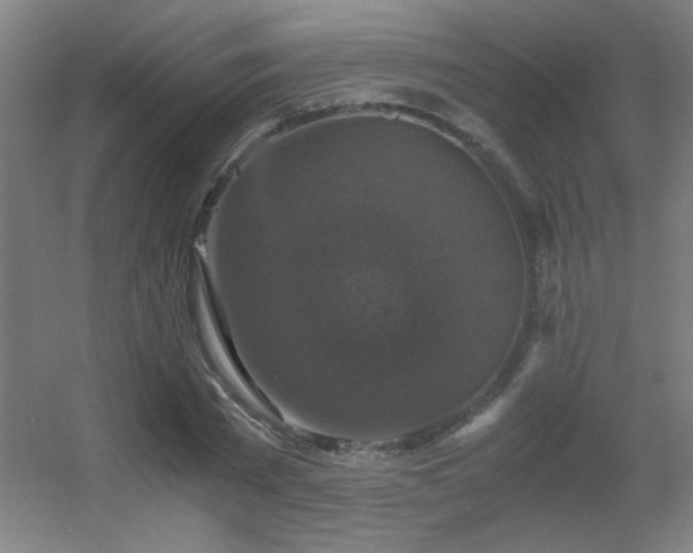 X0000056000785200508221322