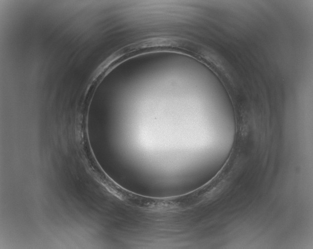 X0000056000786200508221322