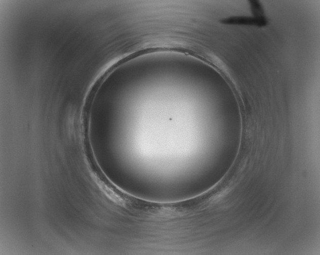 X0000056000787200508221321