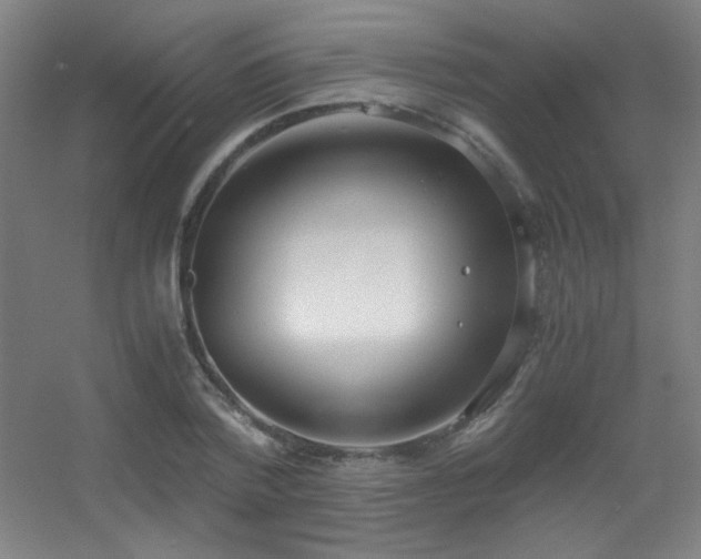 X0000056000788200508221321