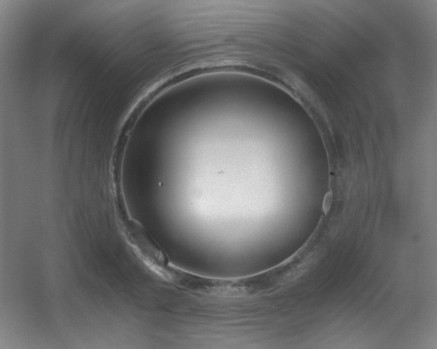 X0000056000789200508221321