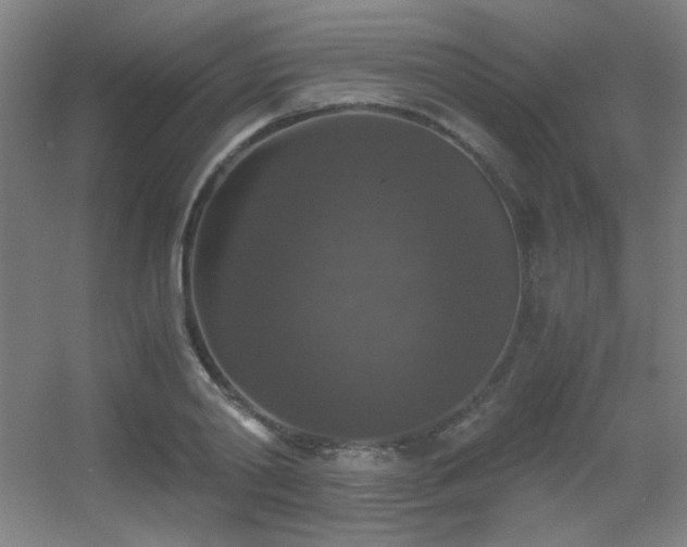 X0000056000790200508221321