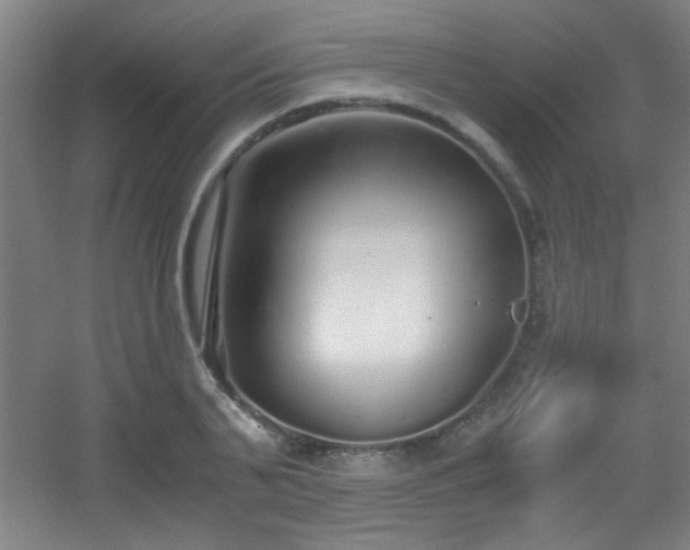 X0000056000791200508221321