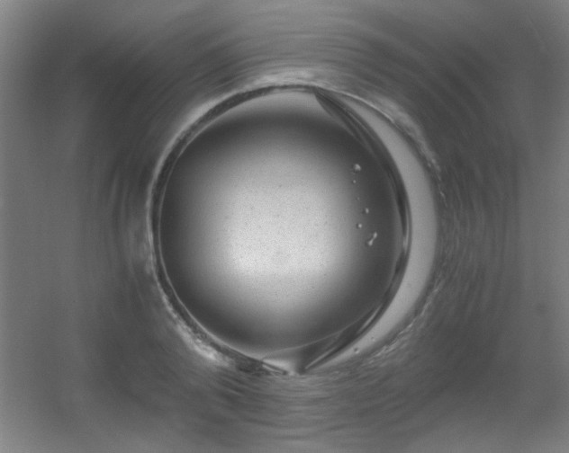 X0000056000792200508221321