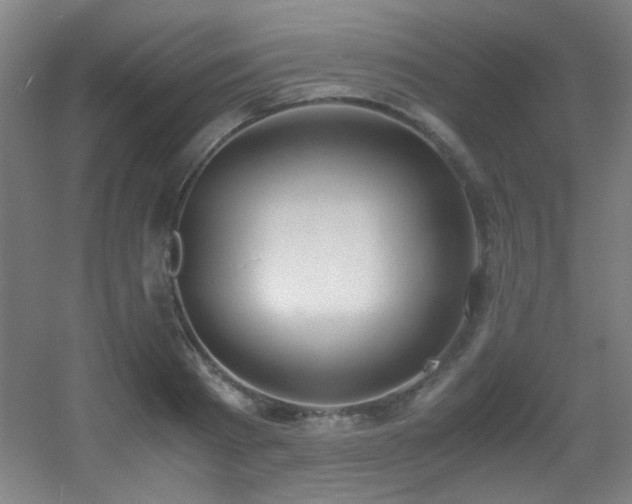 X0000056000793200508221321