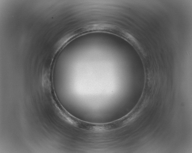 X0000056000794200508221321