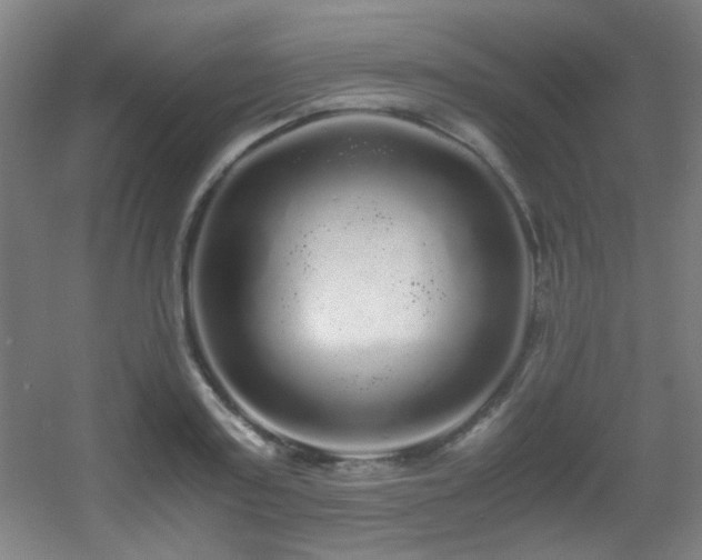 X0000056000795200508221321