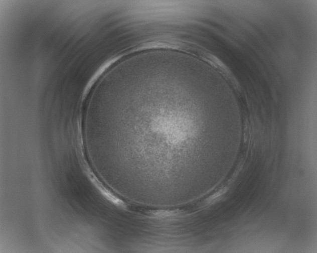 X0000056000796200508221321