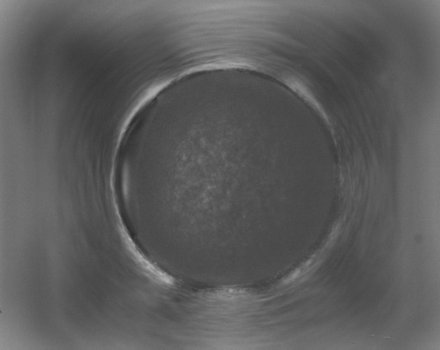 X0000056000797200508221321