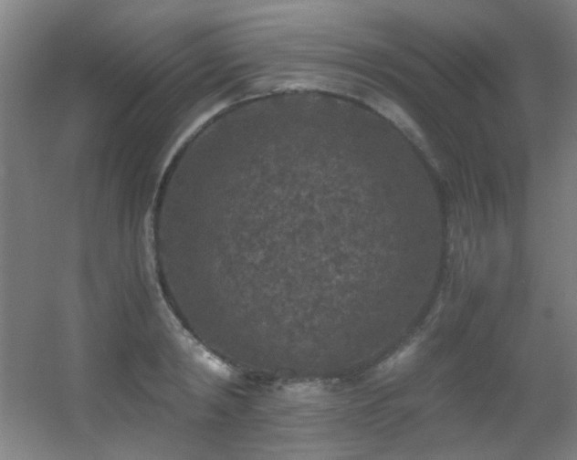 X0000056000798200508221321