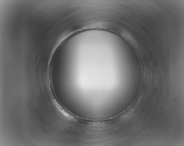 X0000056000800200508221321