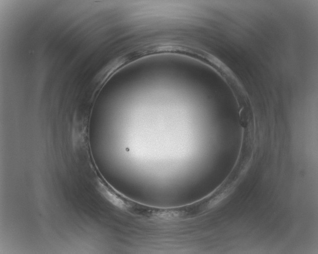 X0000056000801200508221321