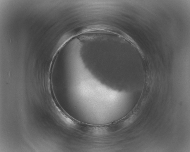 X0000056000802200508221321