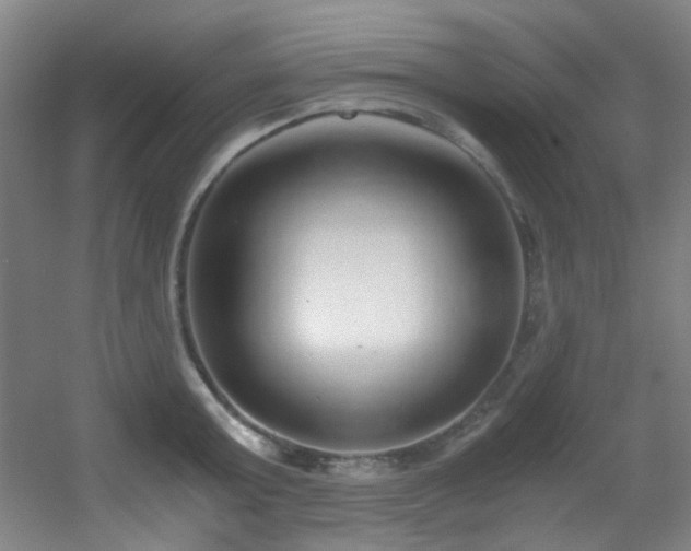 X0000056000803200508221321