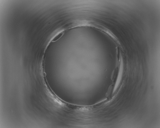 X0000056000806200508221321