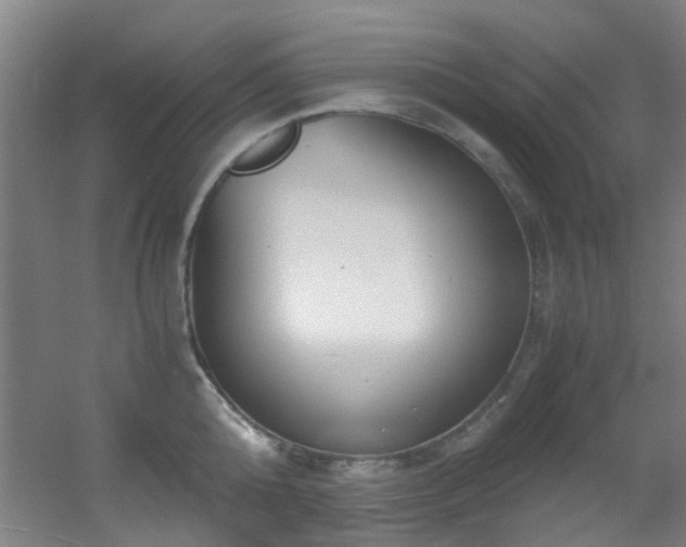 X0000056000808200508221321