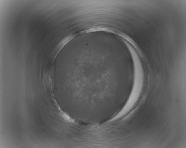 X0000056000809200508221321