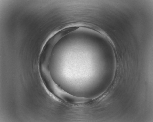 X0000056000813200508221321