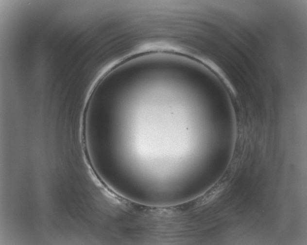 X0000056000815200508221321