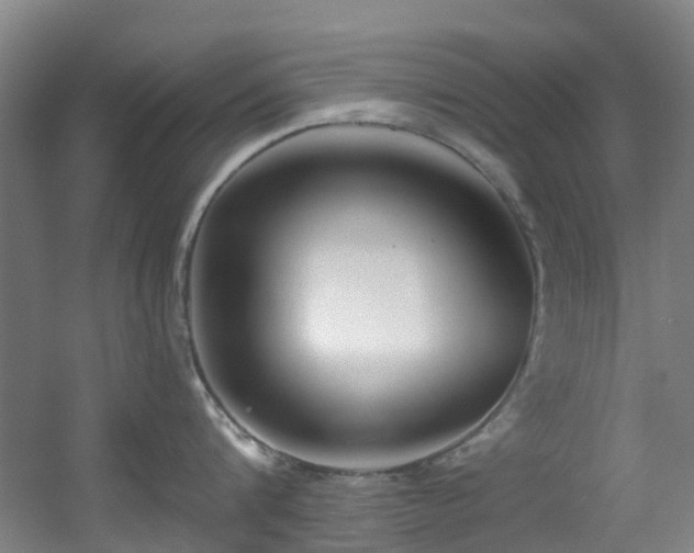 X0000056000816200508221321