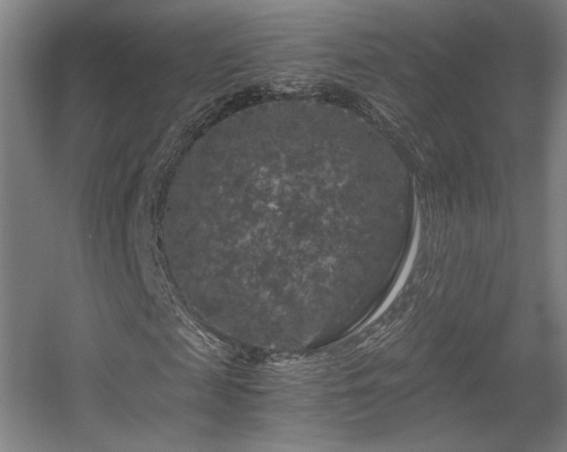 X0000056000817200508221320