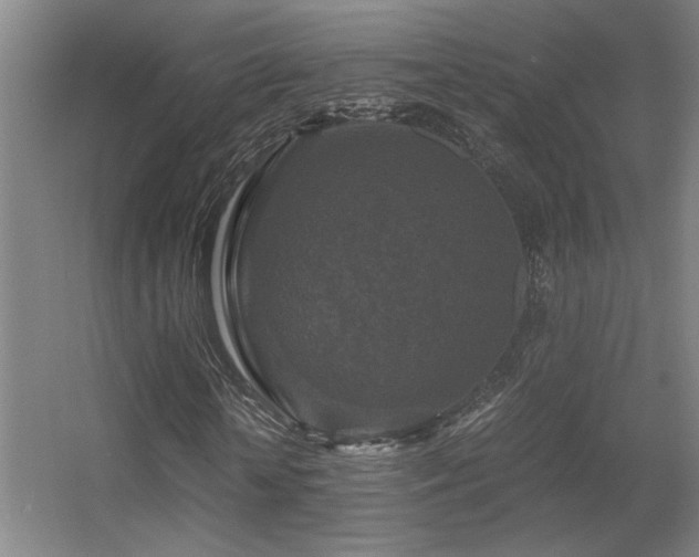 X0000056000818200508221320