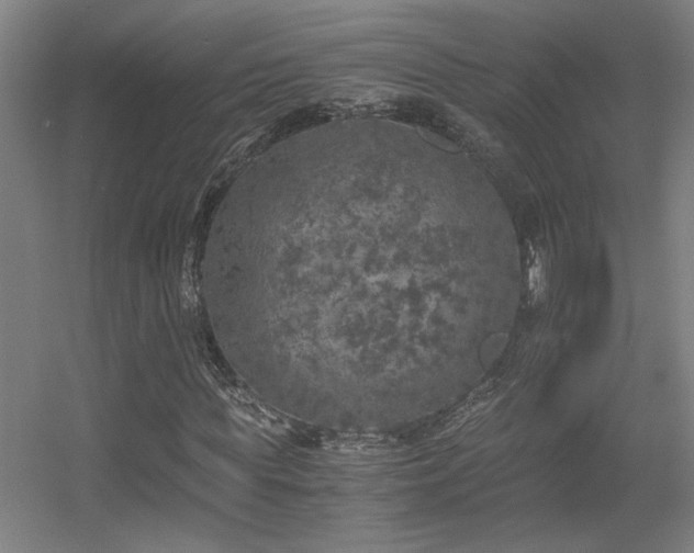 X0000056000819200508221320