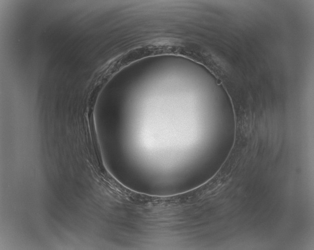 X0000056000821200508221320