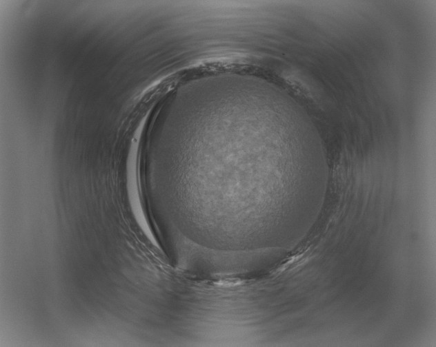 X0000056000822200508221320