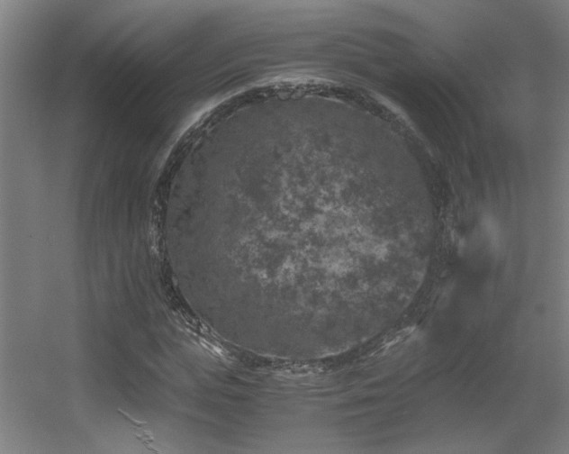 X0000056000823200508221320