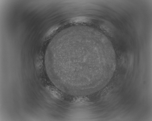 X0000056000824200508221320