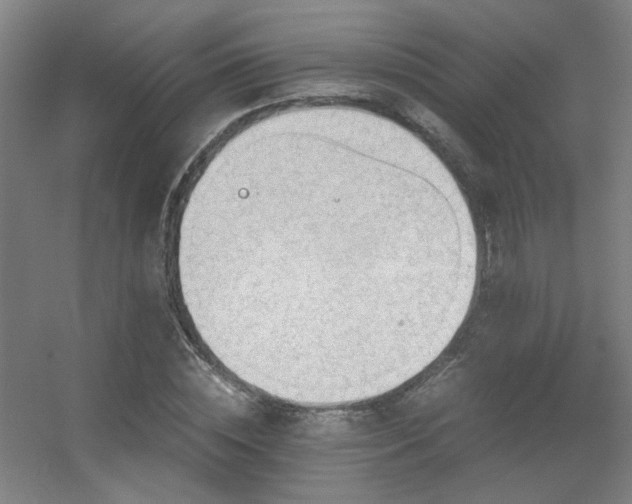 X0000056000828200508221320