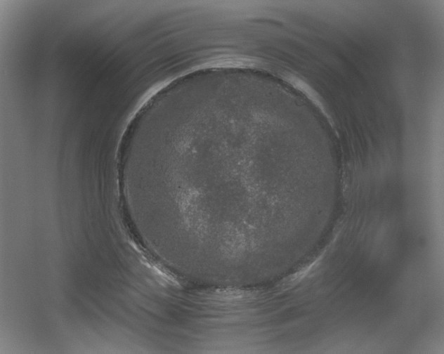 X0000056000829200508221320