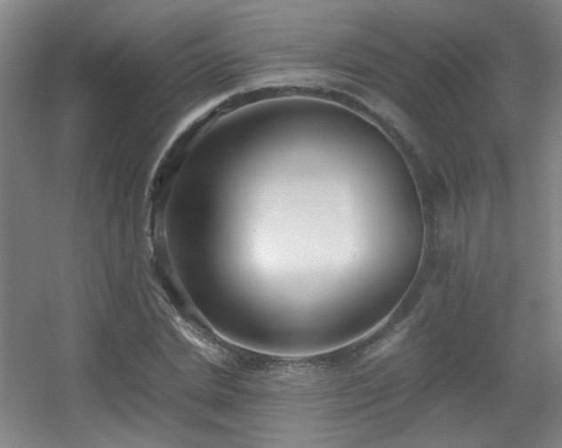 X0000056000830200508221320