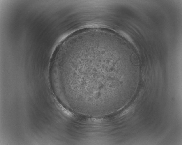 X0000056000831200508221320