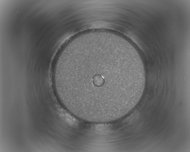 X0000056000832200508221320