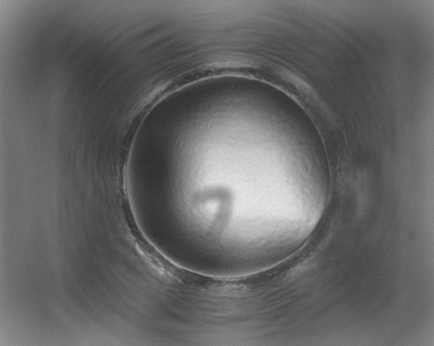 X0000056000833200508221320