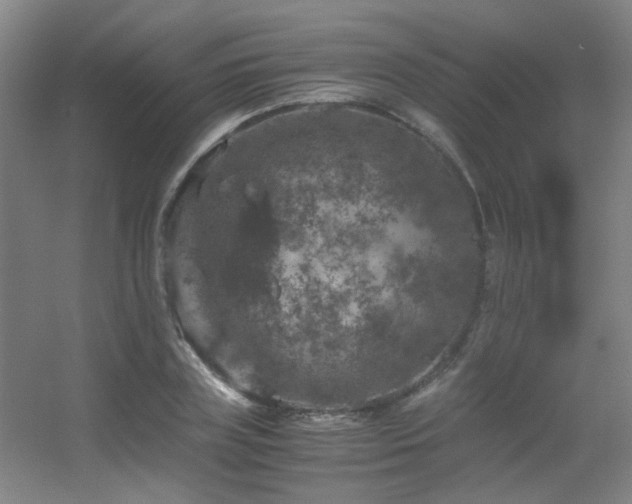 X0000056000835200508221320