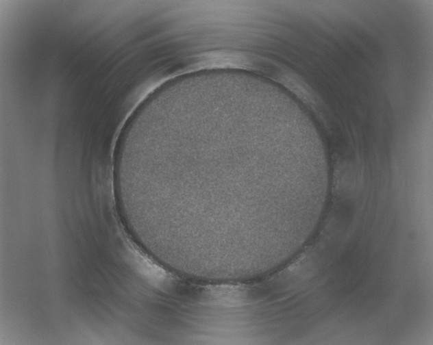 X0000056000836200508221321