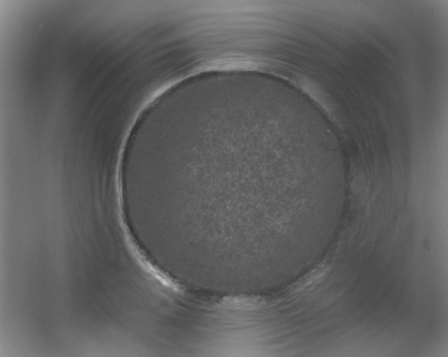 X0000056000840200508221321