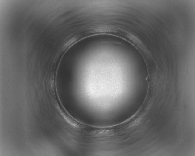 X0000056000841200508221321