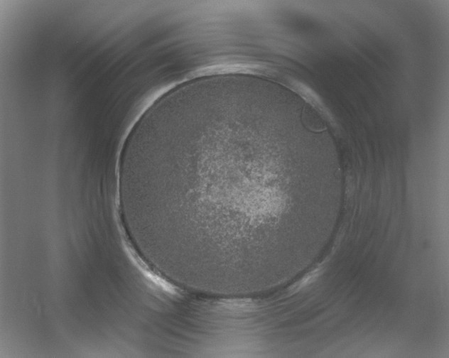 X0000056000844200508221321