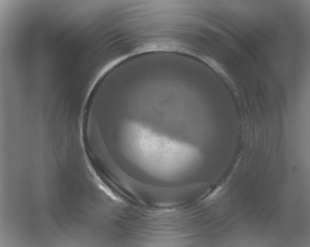 X0000056000846200508221321