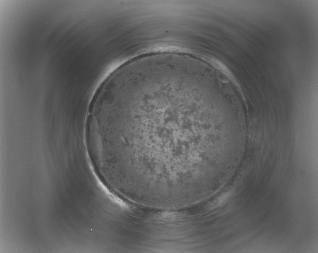 X0000056000847200508221321