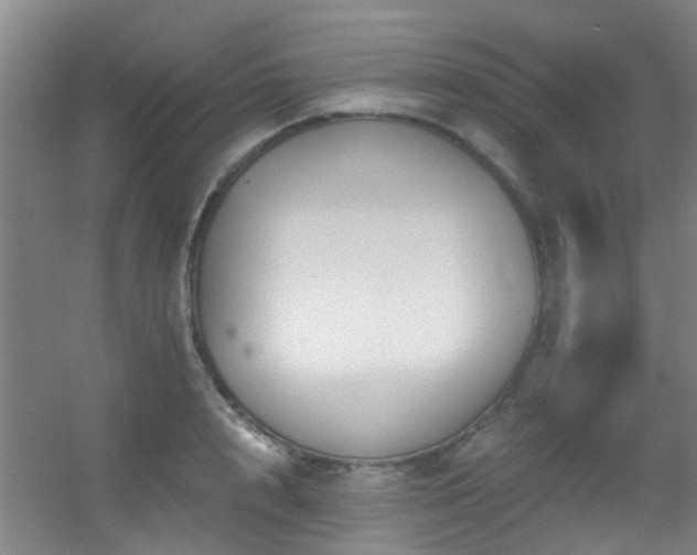 X0000056000848200508221321