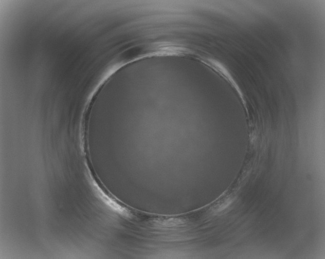 X0000056000851200508221321