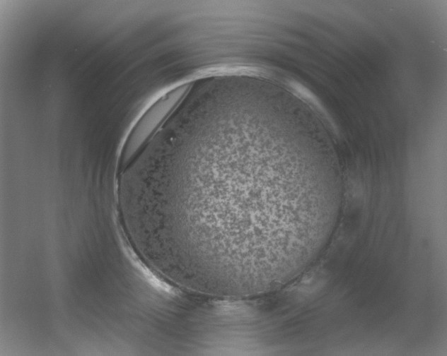 X0000056000852200508221321