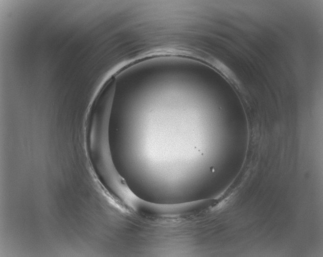 X0000056000854200508221321