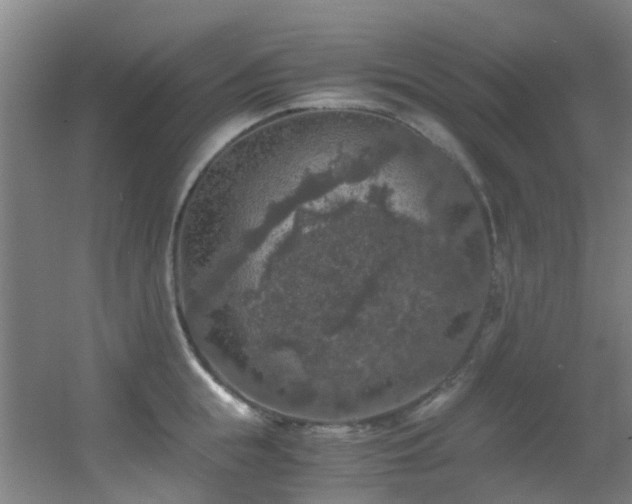 X0000056000855200508221321