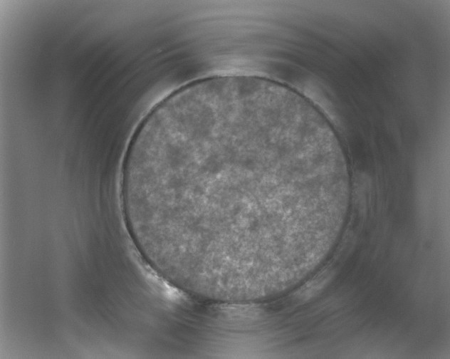 X0000056000856200508221321